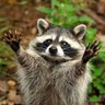 Chunky Trash Panda profil fotoğrafı