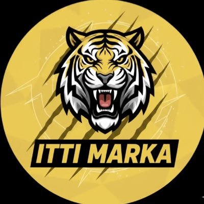 ITTIMARKA's profile picture