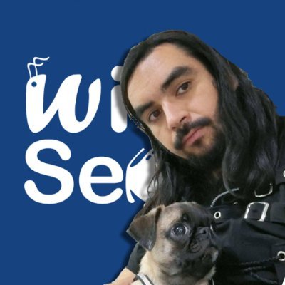 wikiseba's profile picture