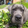 angel's profile picture