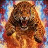 oscar's profile picture