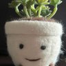 Profilbild von Riley