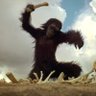 Brandon--Anarcho-Ape-Man🪤's profile picture