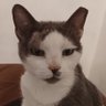 Profilbild von Ethan Marshall
