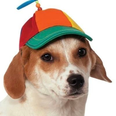 ؘ's profile picture