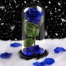 Blue Sky's profile picture