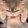 alpha(^^)'s profile picture