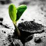 1 seed profil fotoğrafı