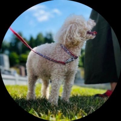 keito_0318's profile picture