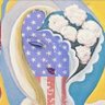 LaylaPatriot4Trump 的头像