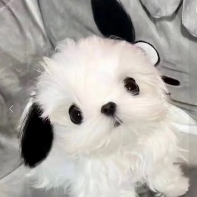 매띠's profile picture