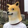 アフリカンカメンオカメンドッグ profil fotoğrafı