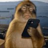 Me.'s profile picture