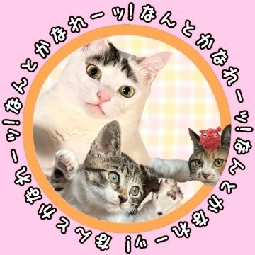 posan_popopon's profile picture