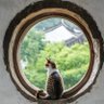Profilbild von bizarre
