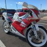rainey-yzr500 的头像