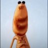 Gork's profile picture