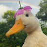 fadime's profile picture