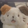 Profilbild von oooor