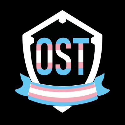OrgaSoliTrans's profile picture
