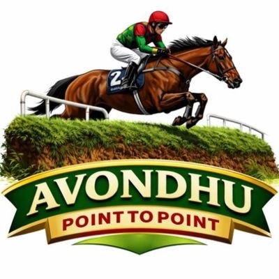 AvondhuP's profile picture