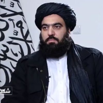 ammarzamarak's profile picture