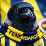 Kadıköy Kargası 的头像