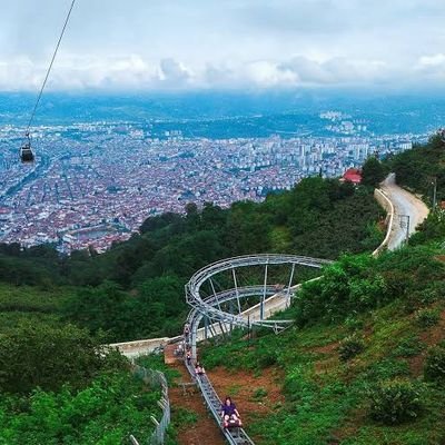 Ordu95643417's profile picture