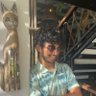 Shawn D. profil fotoğrafı