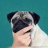 Lalo's profile picture