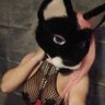 Profilbild von MagsTheCat AD 18+🔞 (aka Zazu Helvii)