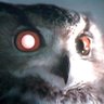 MorrisNight's profile picture