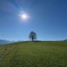 Profilbild von Nibor_