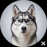 Profilbild von ふぉい