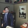 Hiperfoco Disfuncional's profile picture