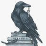 RavenStarMedia profil fotoğrafı
