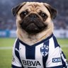 Profilbild von Don Pug