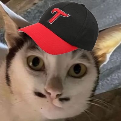 42bl8's profile picture