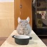 我's profile picture
