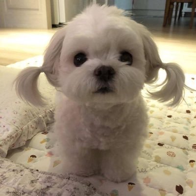 lea ᡣ 𓈒⋅ ⩊ ⋅𓈒ྀིა's profile picture
