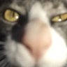 Profilbild von pku