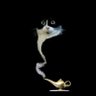 Elle FE's profile picture