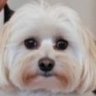 Profilbild von Dr Town