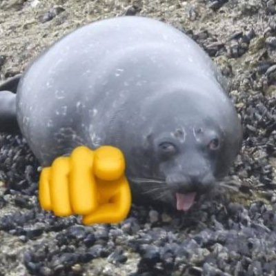 LagWasReal's profile picture