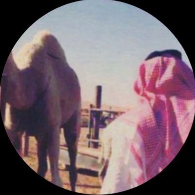 AREEB_91K's profile picture