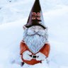 Husker Gnome profil fotoğrafı