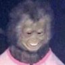 Profilbild von GJB