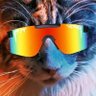 CotoOnChain profil fotoğrafı