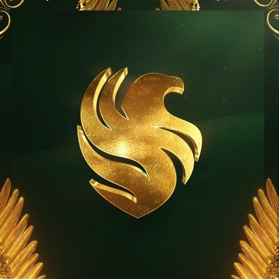 TeamFalconsGG's profile picture