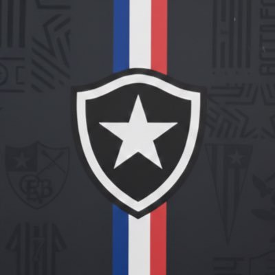 BotafogoFrance's profile picture